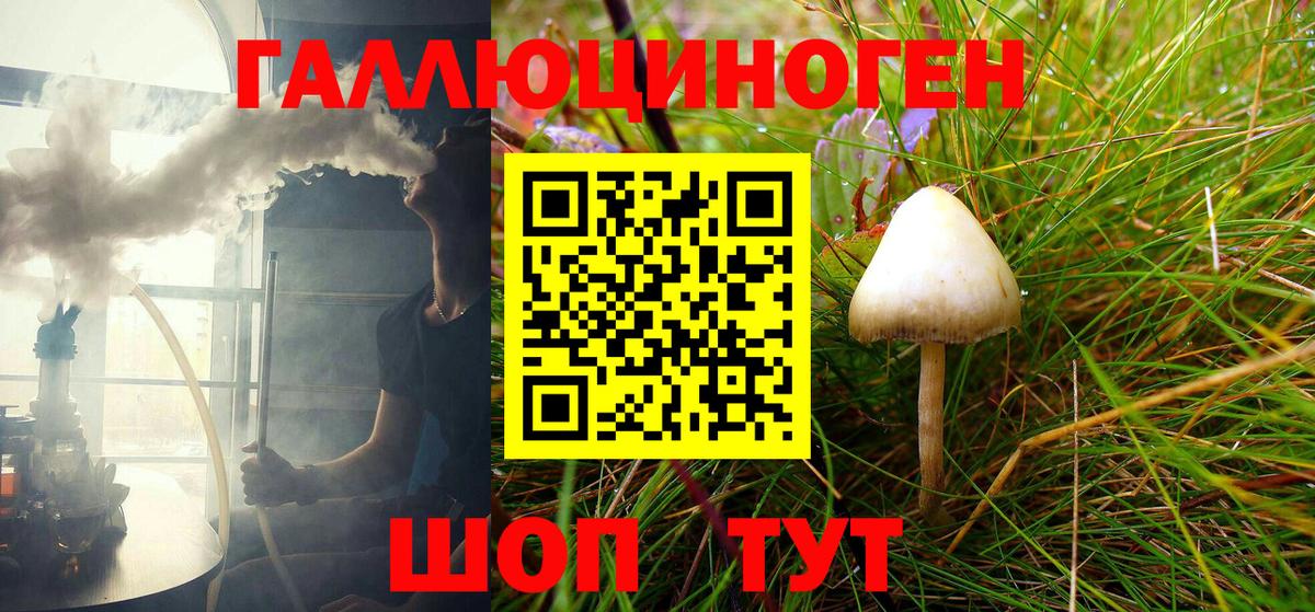 Псилоцибиновые грибы MAGIC MUSHROOMS Гусев