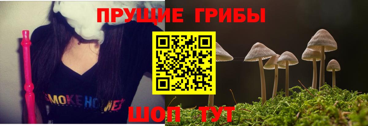 Псилоцибиновые грибы Magic Shrooms  Вход с VPN  Псилоцибиновые грибы Psilocybe  Гусев 